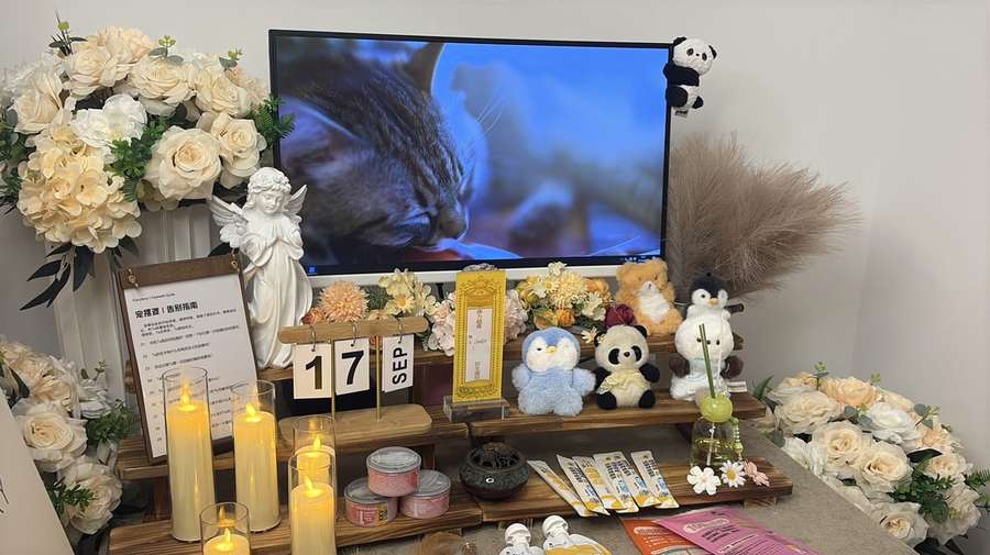 长春宠物告别厅