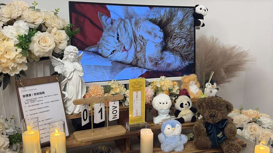 长春宠物单独火化